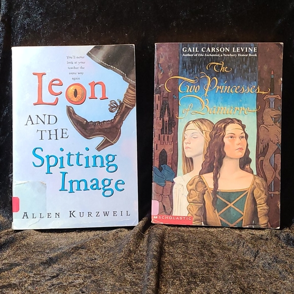 8 BOOKS - youth - home /classroom teaching - Picture 3 of 7